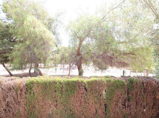 Orihuela Costa (Punta Prima), Bungalow #CQ-JM-52256