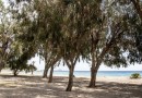 Villajoyosa (Playa Les Torres), Apartment #CQ-00-73244