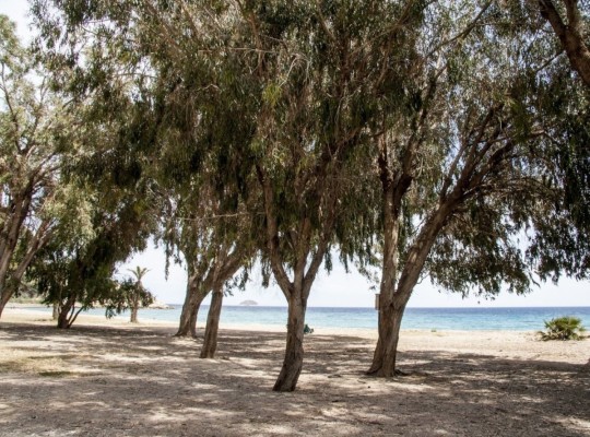 Villajoyosa (Playa Les Torres), Apartment #CQ-00-73244