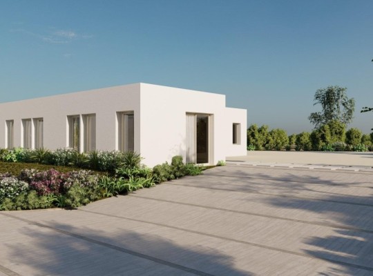 Algorfa (Lomas De La Juliana), Villa #RD-N8550