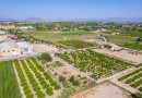 Formentera del Segura (Forementera del Segura), Plot #CQ-GS-60258