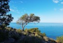 Villajoyosa (Playa Les Torres), Apartment #CQ-00-43053