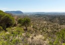 Aspe (Centro), Villa #CQ-00-92035