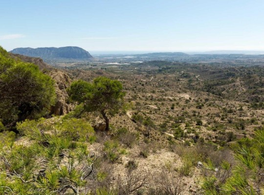 Aspe (Centro), Villa #CQ-00-92035