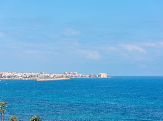 Orihuela Costa (Punta Prima), Apartment #CQ-BG-49192