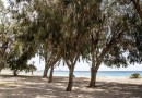 Villajoyosa (Playa Les Torres), Apartment #CQ-00-43053