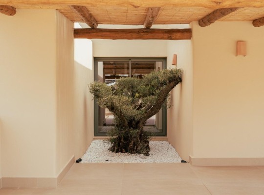 Jávea Xàbia (Valle del Sol), Villa #RD-N9401