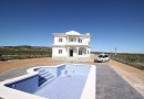 Pinoso (Camino Del Prado), Villa #RD-N7755