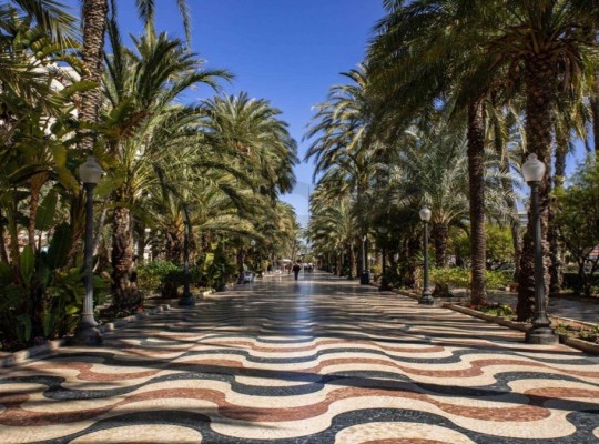 Alicante (Centro), Apartment #RD-N8020