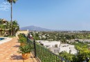 Benahavís (Costa del Sol), Villa - Detached #CM-R3954808