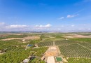Los Montesinos, Villa #CQ-WI-91766