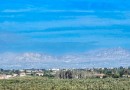 Formentera del Segura (Forementera del Segura), Apartment #CQ-823
