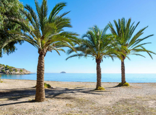 Luxusní komplex apartmánů na pláži Torres, Villajoyosa