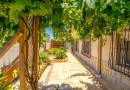 Orihuela Costa (Campoamor), Villa #CQ-UR-56196