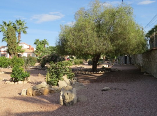 Daya Vieja, Finca #CQ-SD-85383