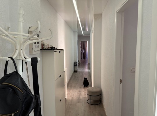 Torrevieja (Centro), Apartment #CQ-WN-51796