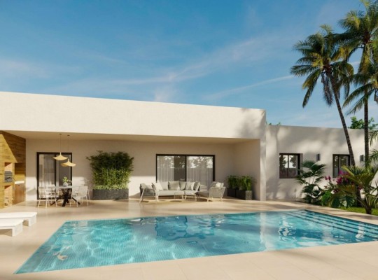 Aspe (Poligono 19), Villa #RD-N8933