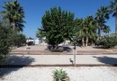 Other areas (Rafal), Finca #CQ-BT-72498
