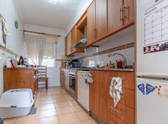 Pilar de La Horadada (Pinar de Campoverde), Semi Detached #CQ-HS-19833