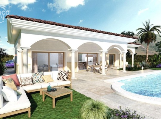 Pinoso (Rodriguillo), Villa #RD-N9268