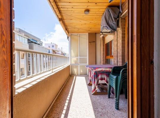 Torrevieja (Playa De Los Náufragos), Apartment #CQ-TS-39727