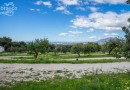 Sierra Blanca (Costa del Sol), Plot - Residential #CM-R4079158