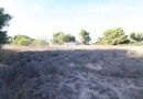 Orihuela Costa (Lomas de Cabo Roig), Plot #CQ-JM-96366
