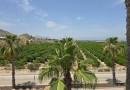 La Finca Golf, Semi Detached #CQ-052