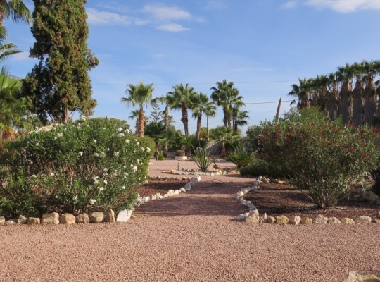 Daya Vieja, Finca #CQ-SD-85383