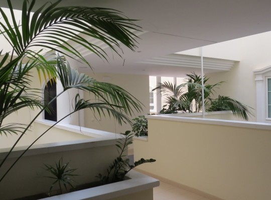 Guardamar del Segura (Urbanizaciones), Apartment #CQ-SD-11964