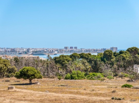 Torrevieja (Punta prima), Apartment #CQ-UR-97058