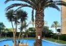 Přízemní apartmán se 2 ložnicemi ve městě Villajoyosa, Costa Blanca Sever.