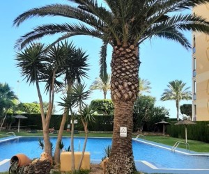 Přízemní apartmán se 2 ložnicemi ve městě Villajoyosa, Costa Blanca Sever.
