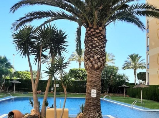 Přízemní apartmán se 2 ložnicemi ve městě Villajoyosa, Costa Blanca Sever.