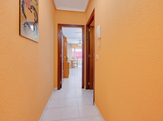 Torrevieja (El molino), Apartment #CQ-MY-41916