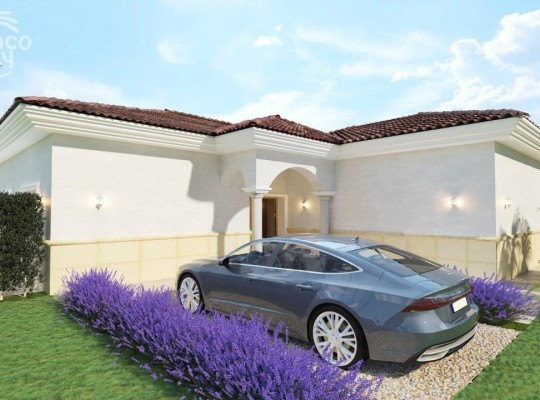 Pinoso (Rodriguillo), Villa #RD-N9268