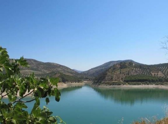 Other areas (iznàjar), Commercial #CQ-GL-70750