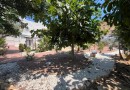 San Miguel de Salinas (Blue Lagoon), Villa #CQ-M-77846