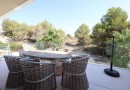 San Miguel de Salinas (Las Colinas Golf), Villa #CQ-JM-12619