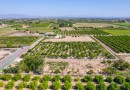 Formentera del Segura (Forementera del Segura), Plot #CQ-GS-60258