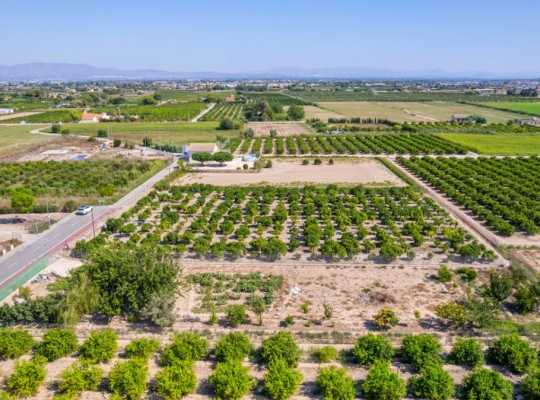 Formentera del Segura (Forementera del Segura), Plot #CQ-GS-60258