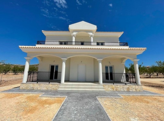 Pinoso (Camino Del Prado), Villa #RD-N7756