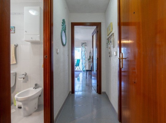 Punta Prima (Rocio del Mar), Apartment #CQ-OC-71344