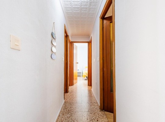 Torrevieja (Playa De Los Náufragos), Apartment #CQ-TS-39727
