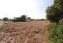 Orihuela Costa (Lomas de Cabo Roig), Plot #CQ-JM-96366