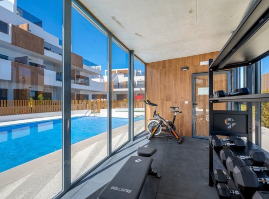 Pilar de La Horadada (Torre de la Horadada), Apartment #CQ-WN-45635