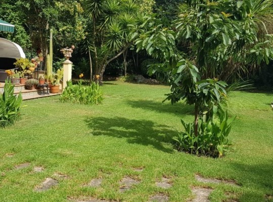 BEAUTIFUL RUSTIC FINCA WITH VACATIONAL LICENSE