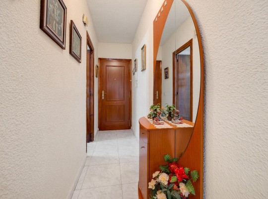 Torrevieja (Playa del Cura), Apartment #CQ-MY-49749