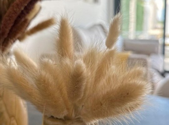 San Fulgencio (Pueblo), Bungalow #RD-N8791