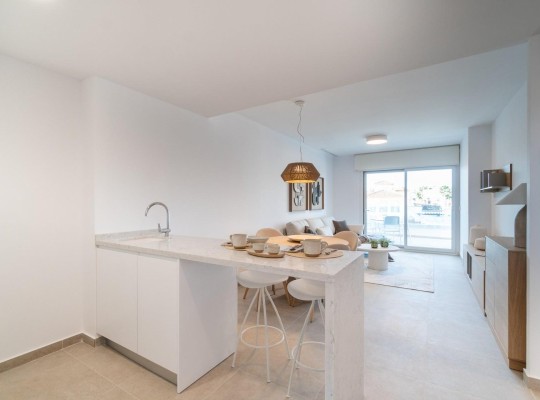 Orihuela Costa (Playa Flamenca), Apartment #RD-N5809